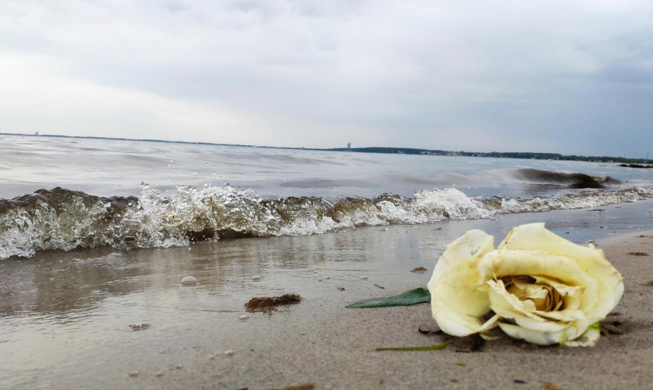 Zum Wohlfuhlen Fur 4 Erwachsene +1 Kind, Schwimmbad Vor Der Tur Tiere Erlaubt Apartman Sierksdorf Kültér fotó
