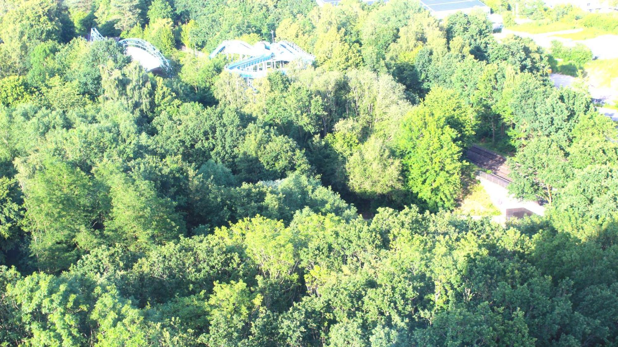Zum Wohlfuhlen Fur 4 Erwachsene +1 Kind, Schwimmbad Vor Der Tur Tiere Erlaubt Apartman Sierksdorf Kültér fotó